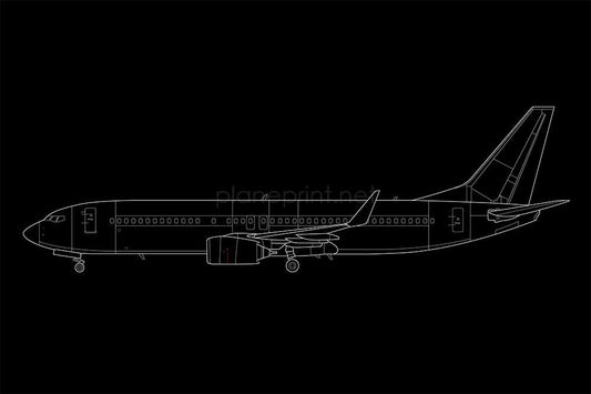 B737-800 Print